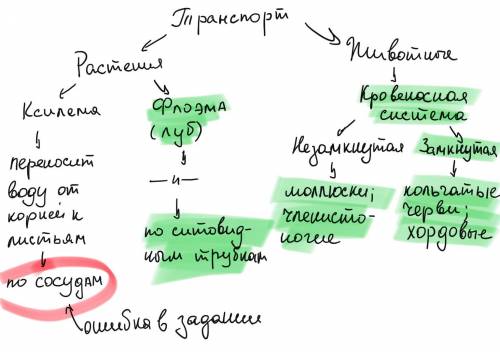 выполняем задание письменно Дополните схему