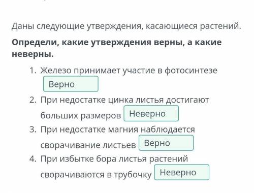 Даны следующие утверждения, касающиеся растений. Определи, какие утверждения верны, а какие неверны.