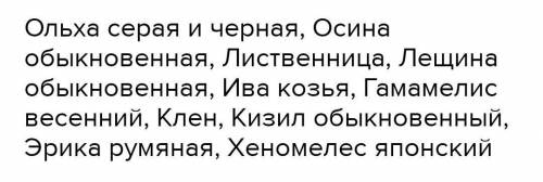 Какие деревья и кустарники ранней весной зацветают первыми ?​