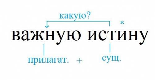 Синтаксический разбор слова важную истину