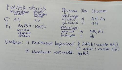 Генетика: У яблок круглая форма плодов доминирует над вытянутой, желтая окраска плодов доминирует на