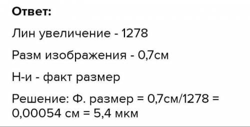 Линейное увеличение клеток. Рассмотрите изображение. А. Укажите название органоида, изображенного п