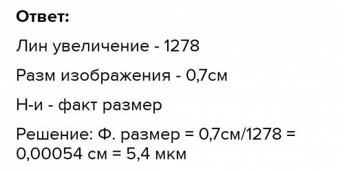 Определите точный размер органоида под буквой d, если линейное увеличение изображения 1278. Показать
