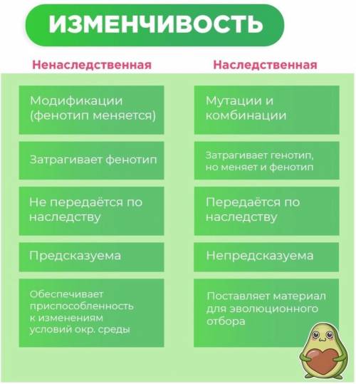 Чем отличаются ненаследственная и наследственная изменчивость