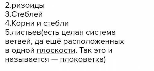 Закончи предложения у мхом есть но нет водостоки не имеют у папоротник есть но нет