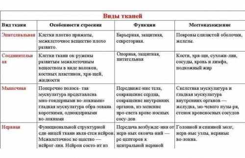 эпителиальная нервная мышечная и соединительная. ткани организма человека. Назовите отличительные ос