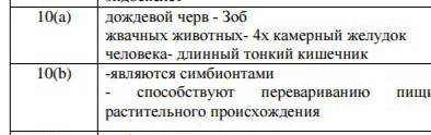 Объясните причины усложнения в строении желудка жвачных животных​