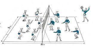 Розміщення гравців на полі у волейболі?​