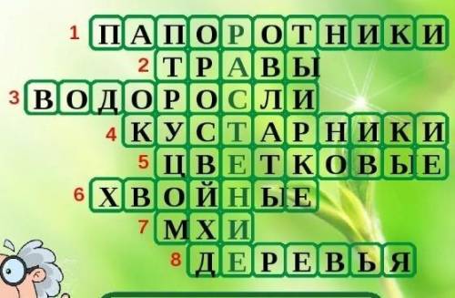 Кроссворд на тему царство растений биология