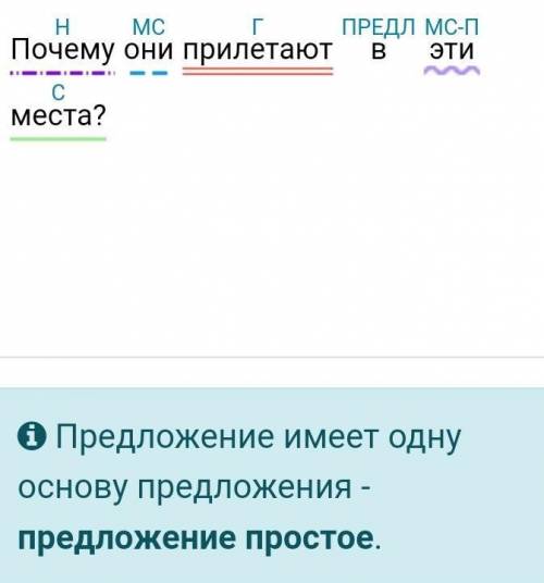 Синтаксический разбор предложения «Почему они прилетают в эти места ТОЛЬКО