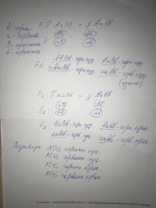 До ть будь ласка. У собак спанієль чорна шерсть домінує над червоною, суцільна над строкатий. Чорний