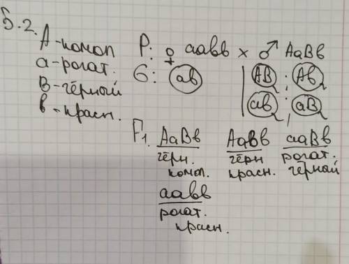 Всем привет с практической работой! От Я буду вам очень благодарна!