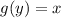 g(y)=x