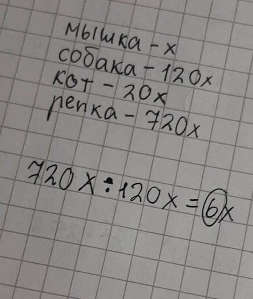 Решите задачку собака тяжелее кота в 6 раз, кот тяжелее мышки в 20 раз, репка тяжелее мышки в 720 ра