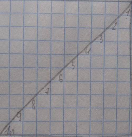 Квадрат 10×10 разбит на единичные квадратики.Сколько всего треугольников образуется после проведения