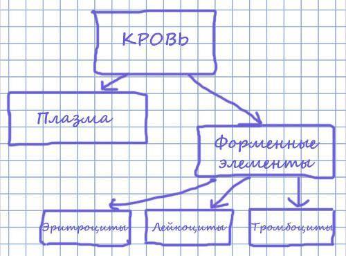 Умоляю напишите мне пажулуйста схему состова крови (жилательно не большое) даю 25-30