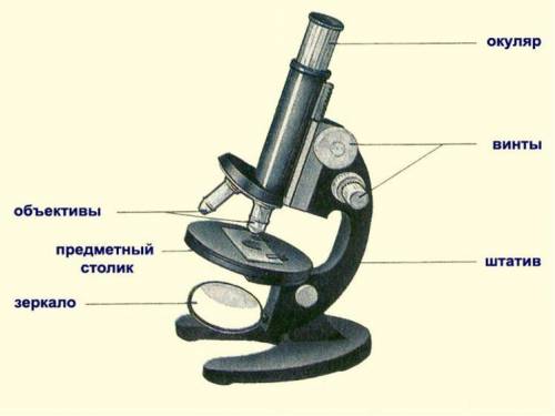 На рисунке изобрадëн, микроскоп. нужно под каждой буквой подписать части микроскопа​