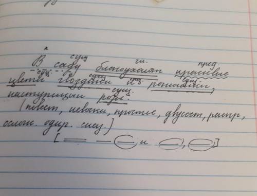 Синтосический разбор предложения в саду благоухают красивые цветы гвоздики и ромашки, настурицыи роз