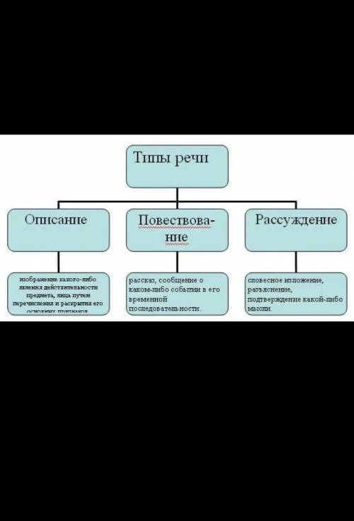 План описания (не определённого)6 класс ​