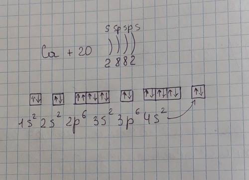Запишите распределение электронов в ионе Са по уровням нужно.