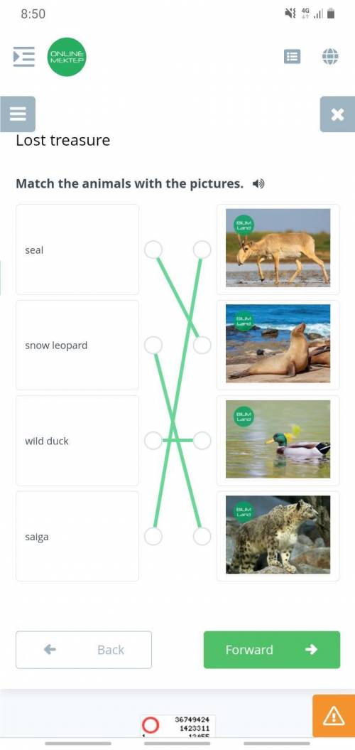 Match the animals with the pictures.