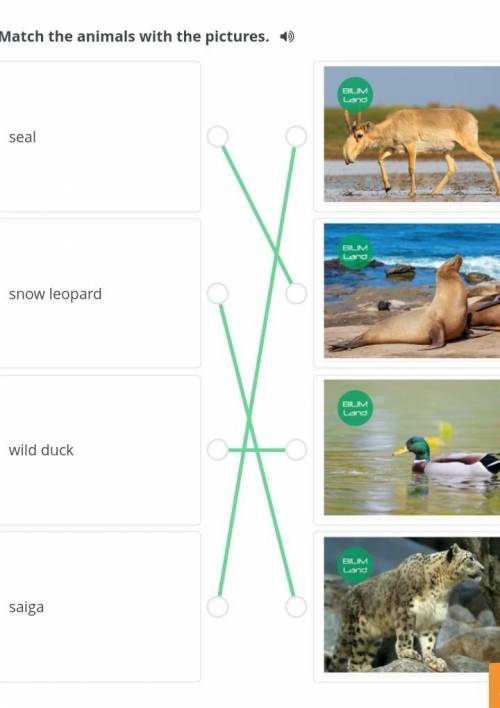 Match the animals with the pictures. sealsnow leopardwild ducksaigaBackCheck​