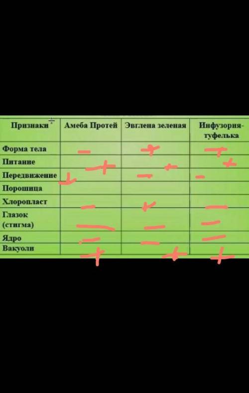 Сравнительная характеристика одноклеточных животных в пропусках поставить плюсы или минусы + или -​