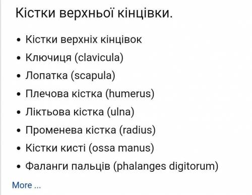 До кісток верхніх кінцівок належить​