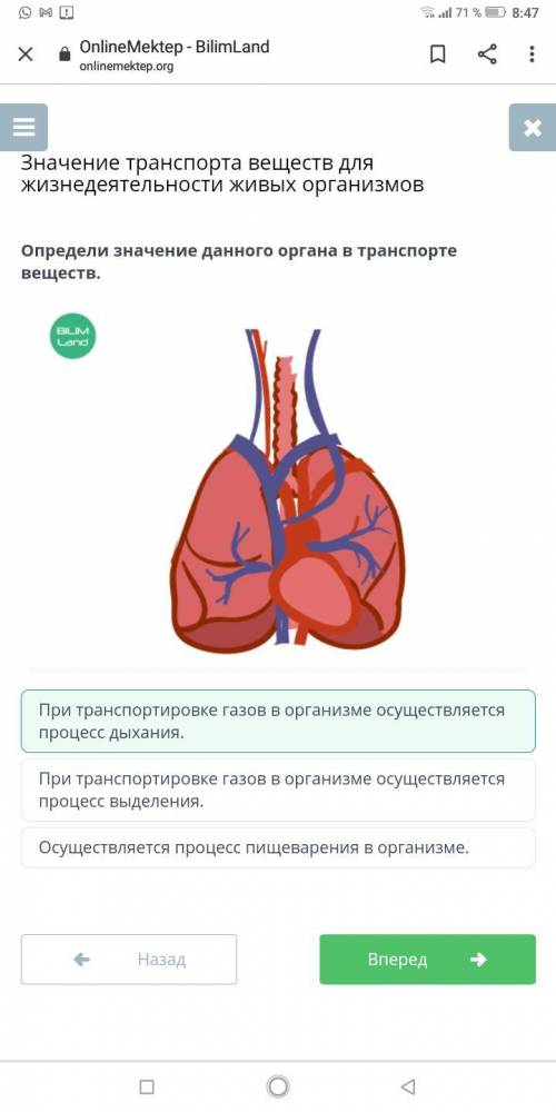 Определи значение данного органа в транспорте веществ. ￼При транспортировке газов в организме осущес