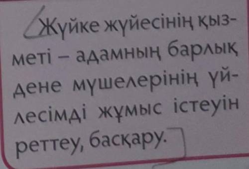 Жүке жүйесіне жататын мүшелердің қызыметін жаз даиу ​