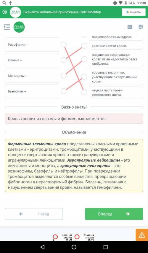 Сопоставьте термины и их определения свертывания крови в эритроцитах тромбоцитах гемов большая плазм