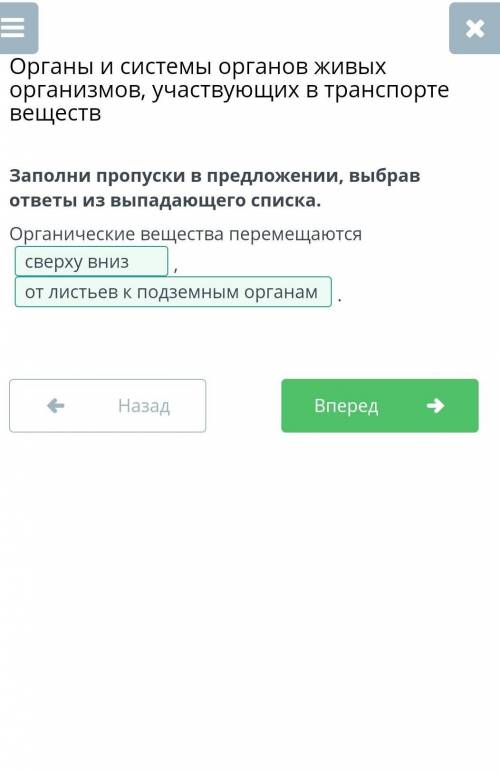 Биалогия заполни пропуски в предложение выбрав ответы из выподающего списка органические вещества пе