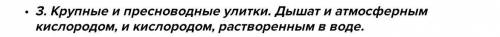 1. в чем заключается особенность внешнего строения брюхоногих? 3. Как дышит пресноводная улитка?4. К