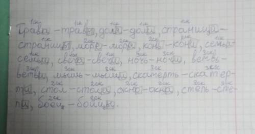 образуй из данных из данных имён существительных единственого числа форму множественного числа родит