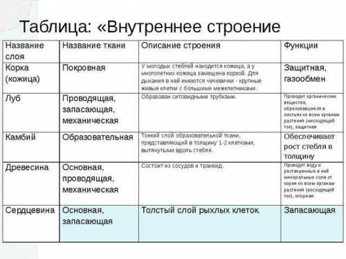 я не чего тут не понимаю, уже час не могу сделать дз надо заполнить таблицу