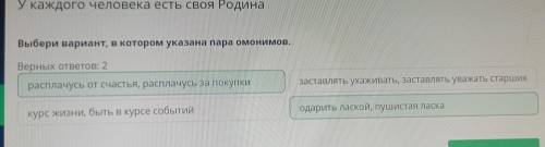 У каждого человека есть своя Родина Выбери вариант, в котором указана пара омонимов.Верных ответов: