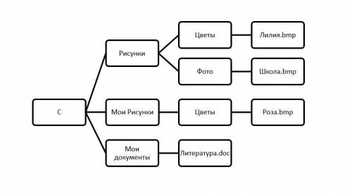 Постройте дерево каталогов C:\Мои рисунки\Цветы\Роза.bmp C:\Рисунки\Цветы\Лилия.bmp C:\Рисунки\Фото\