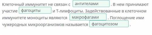 Вставь в текст пропущенные слова, выбрав их из выпадающего списка. Клеточный иммунитет не связан с