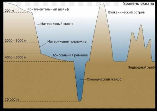 Назоите формы рельефа бозначенные буквами​ материковый склон-?глубоководный желоб-гматериковая отмел