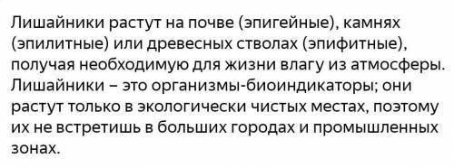 Осмотрите стволы деревьев, почву , камни, крыши ближайших домов. Есть ли на них лишайники? По коким