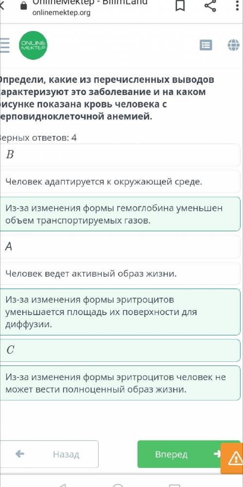 23 НОЯБРЯ БИОЛОГИЯ - 8 БНазадЛАБОРАТОРНАЯ РАБОТА «ИССЛЕДОВАНИЕ ФОРМЕННЫХ ЭЛЕМЕНТОВ КРОВИ РАЗЛИЧНЫХ О