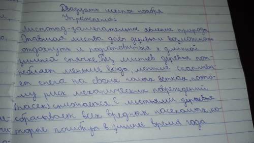 2 Сирмулируйте два «толстых» вопроса к тексту.Листопад замечательное явление природы, Опавшая листва