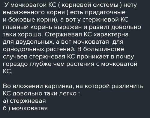 ВЫВОД О СХОДСТВАХ И РАЗЛИЧАЯХ В СТРОЕНИИ СТЕРЖНЕВОЙ И МОЧКОВАТОЙ КОРНЕВЫХ СИСТЕМ​