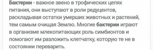 Значение бактерий в природе и жизни человека