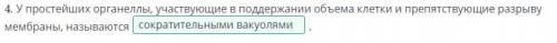 У простейших органеллы, участвующие в поддержании объема клетки ипрепятствующие разрыву мембраны,уна