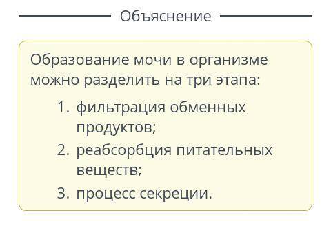 Определи последовательность этапов образования мочи в организме. Фильтрация обменных продуктовПроцес