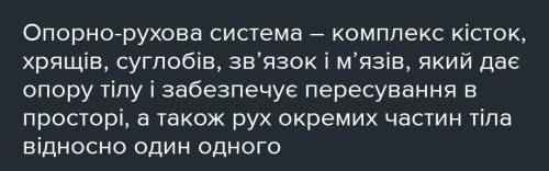 Усі види тканин опорно рухової системи мають... завдяки чому вони можуть виконувати властиві їм...