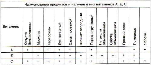 ОБЖ 8 класс по учебнику А.Т. Смирнов Параграф 4.2. Правила безопасного поведения при неблагоприятной