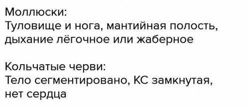 Распределите характерные особенности круглых и кольчатых червей по группам.