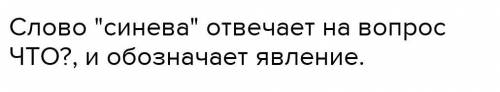 Докажите что слова синева имя существительное ​